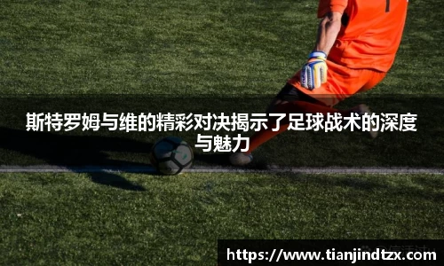 NG28斯特罗姆与维的精彩对决揭示了足球战术的深度与魅力